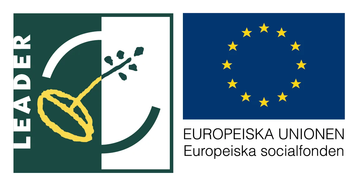 LOGO-LEADER-ESF