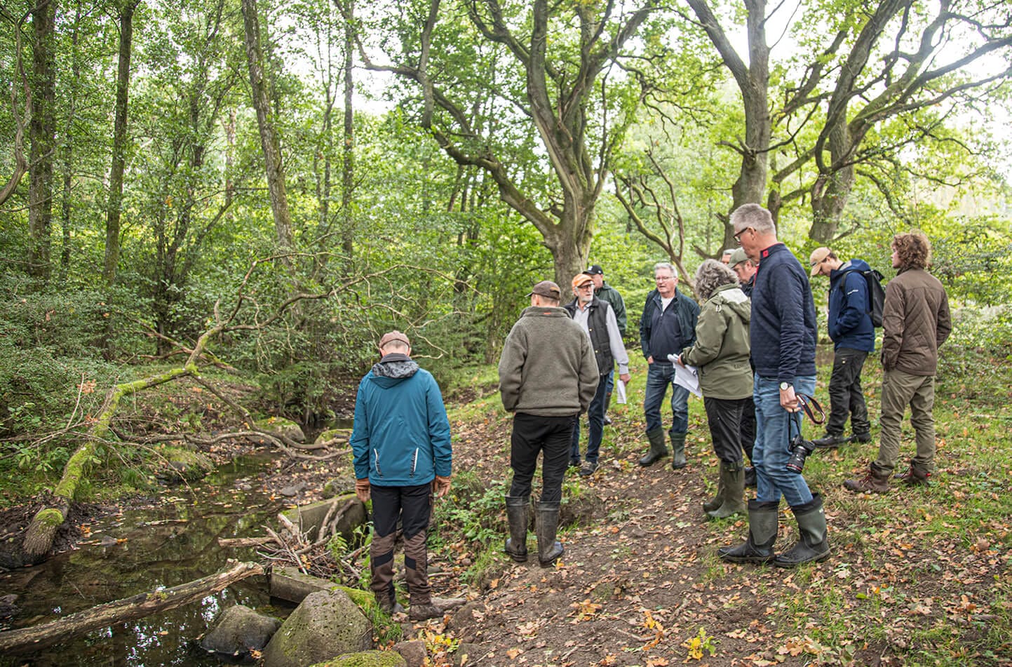 Flera personer står vid ett vattendrag i skogen under guidning, omgivna av träd, stigar och grön vegetation