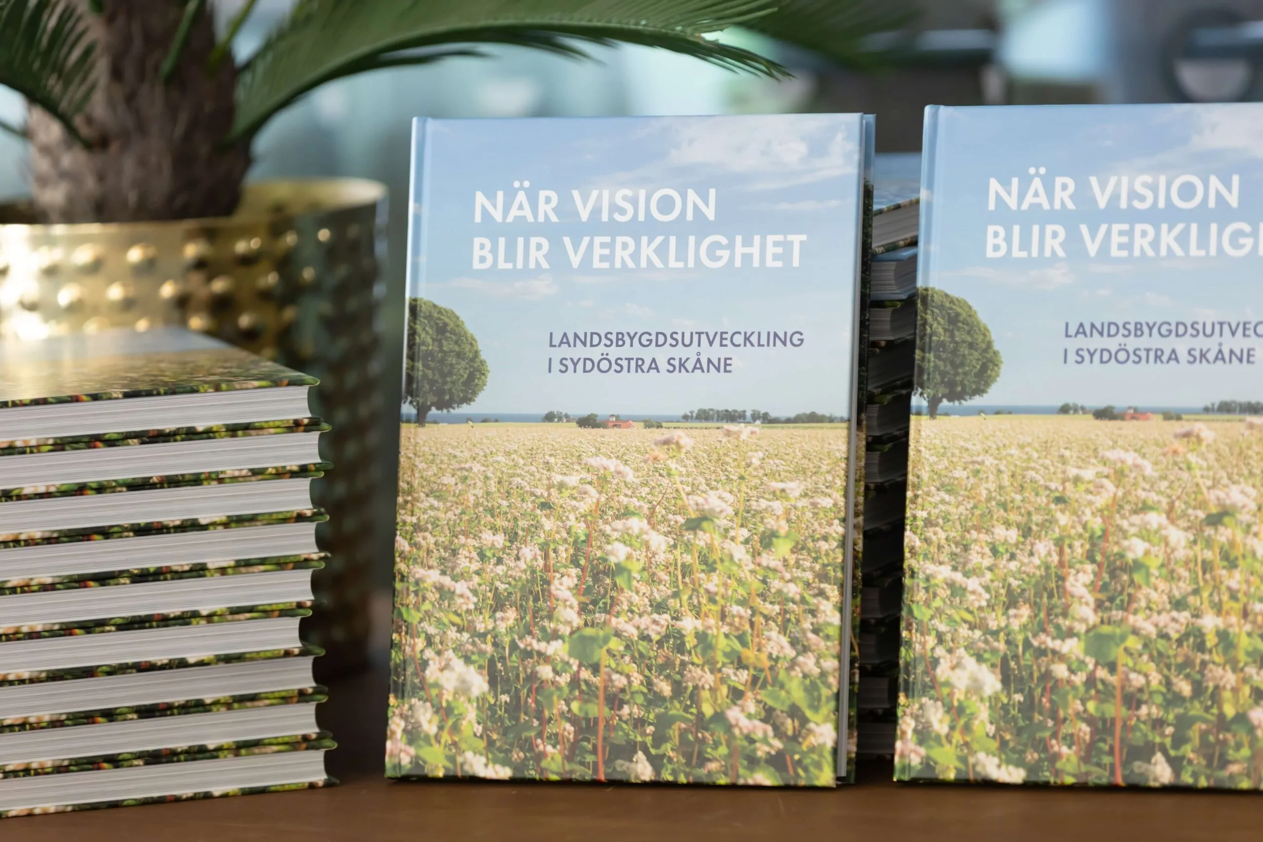 the-book-when-vision-becomes-reality-photo-jeanette-lindeskog