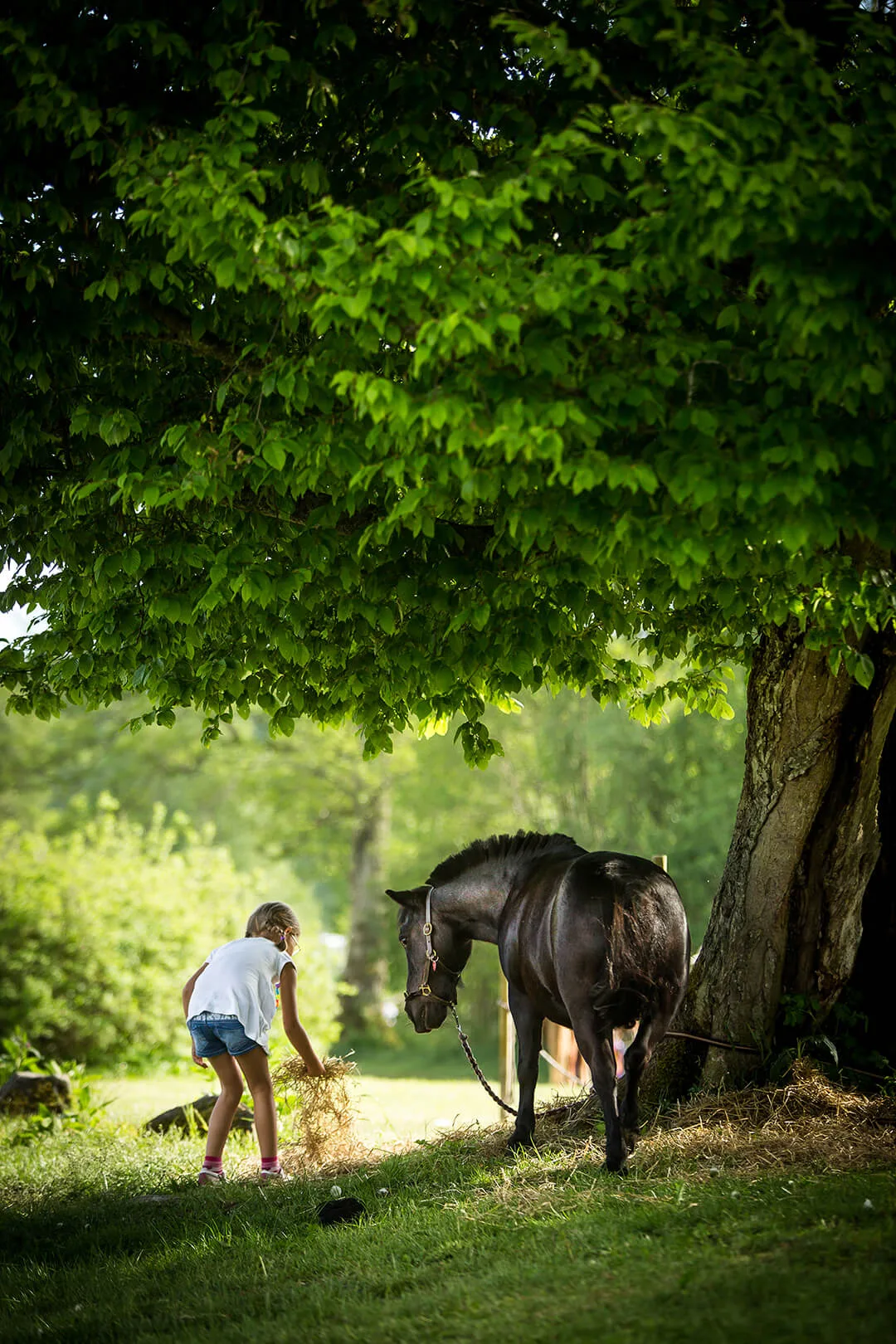 hassleholm-flicka-hast-foto-InPhokus-by-Funke
