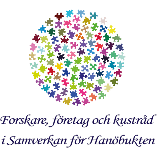 Färgstark symbol av pusselbitar i cirkelform ovanför text om samarbete mellan forskare, företag och kust i Hanöbukten