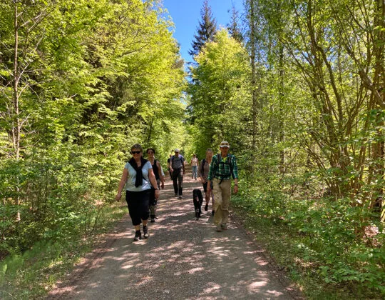 Människor promenerar längst en grusväg och träden är gröna