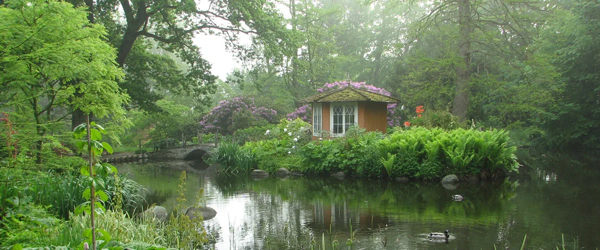 Ett litet hus i en lummig miljö med en liten damm framför
