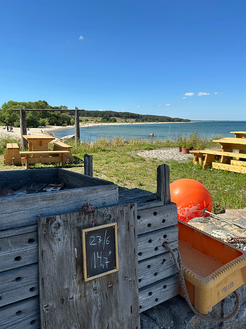 Kustvy med träbord, strand och hav i bakgrunden. I förgrunden syns väderbitna trälådor, en orange boj och en liten griffeltavla med datum och temperatur.
