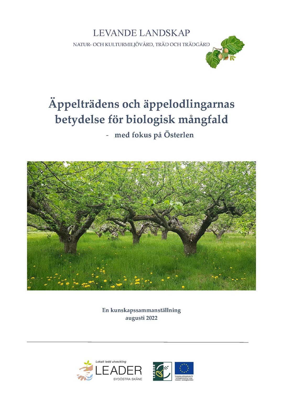 Första sidan på slutrapporten med ett foto på ett förfallet ödehus