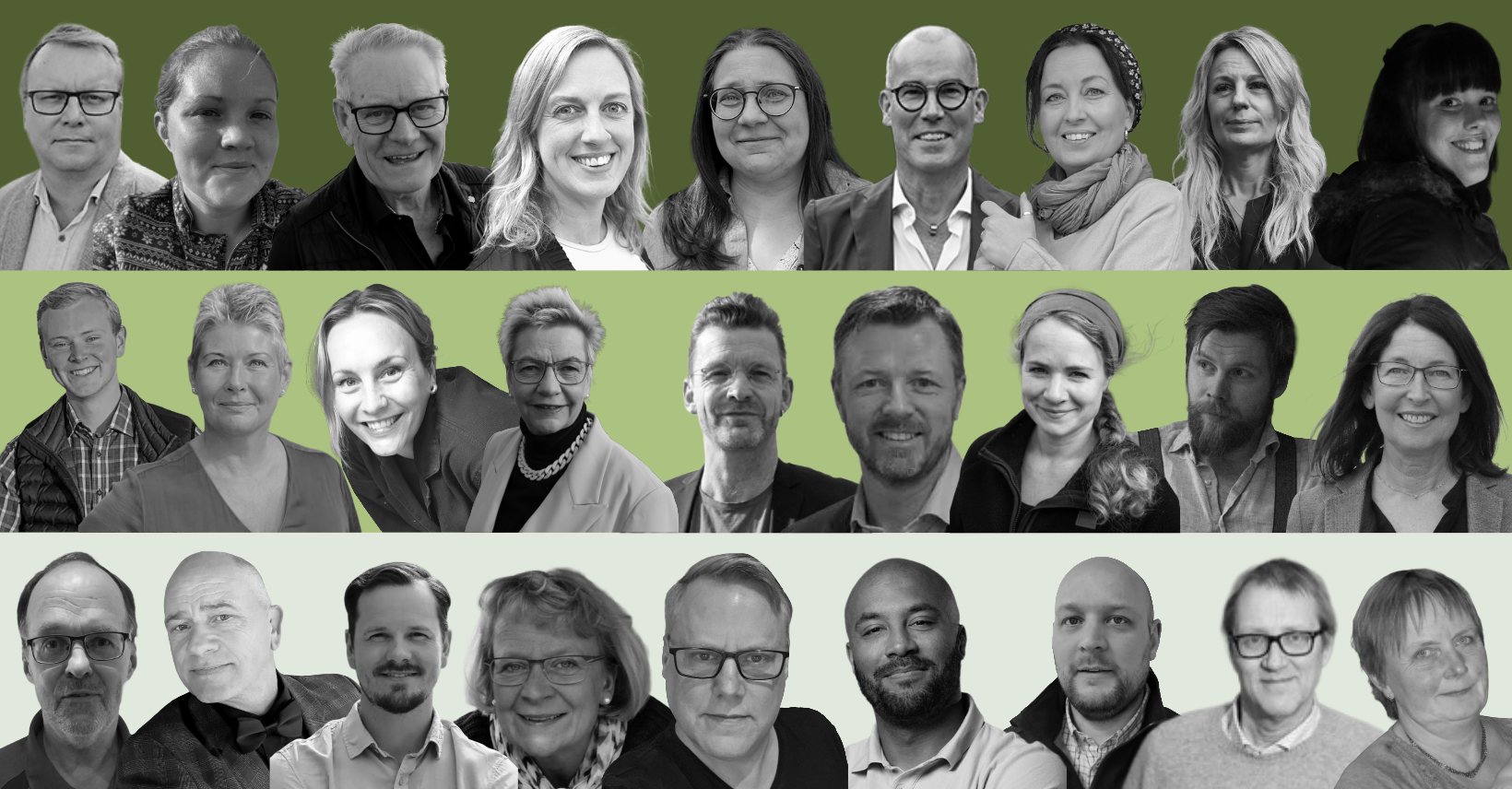 Porträttcollage av styrelseledamöter i Leader Östra Skåne mot grön bakgrund, med flera personer från olika bakgrunder och yrkesroller.