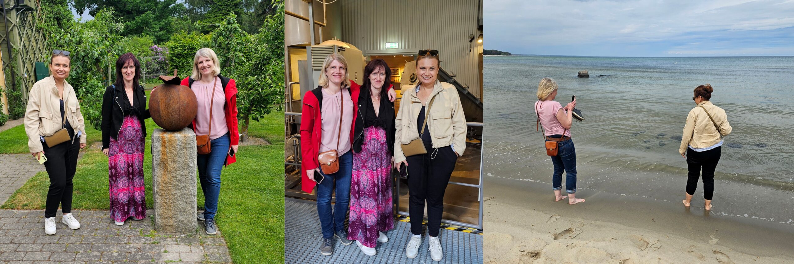 Deltagare från ett tjeckiskt Leaderområde besöker trädgården och fabriken på Kiviks musteri och stranden på Vitemölla under ett studiebesök.