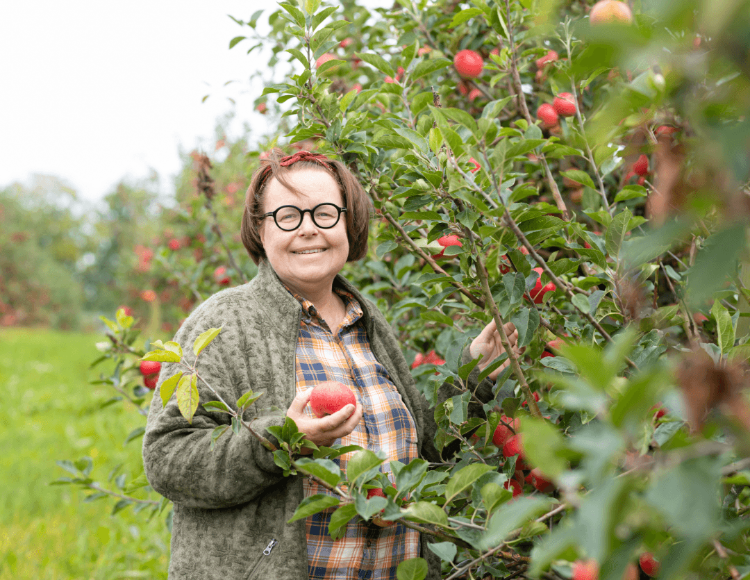 APPLE-4-elisabeth-knoppel-foto-torun-bortz Leende person i en äppelodling som skördar röda äpplen och håller ett nyplockat äpple i handen.