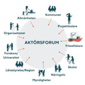 Illustration av ett aktörsforum där allmänhet, kommuner, projektledare, yrkesfiskare, skolor, näringsliv, myndigheter, länsstyrelse/region, forskare och organisationer samlas och bidrar med olika perspektiv.