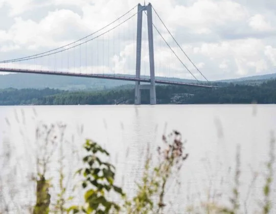 Bild på Höga Kustenbron